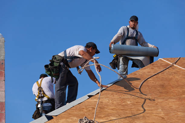 Best Roof Maintenance Services  in Waterflow, NM
