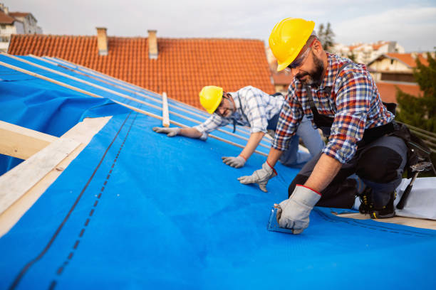 Best Roof Gutter Cleaning  in Waterflow, NM